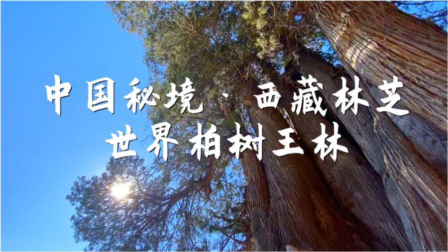马斯克vs乔布斯，同一个作者笔下的两种天才