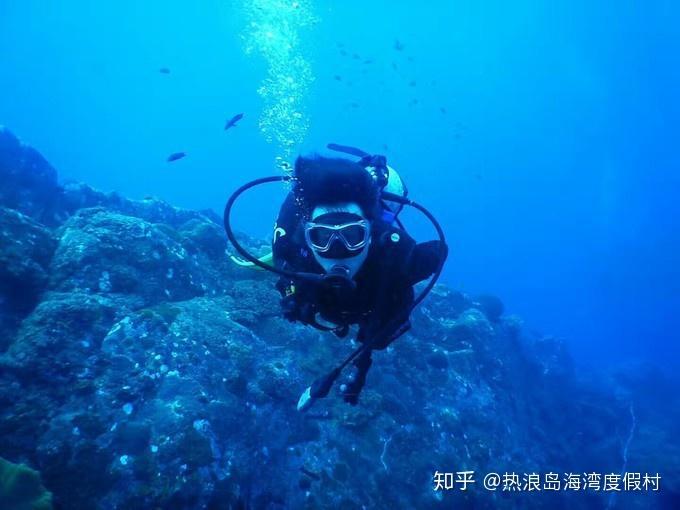大炮篮球3选关版