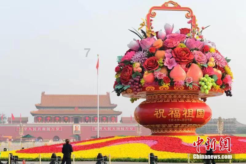 救援鹦鹉