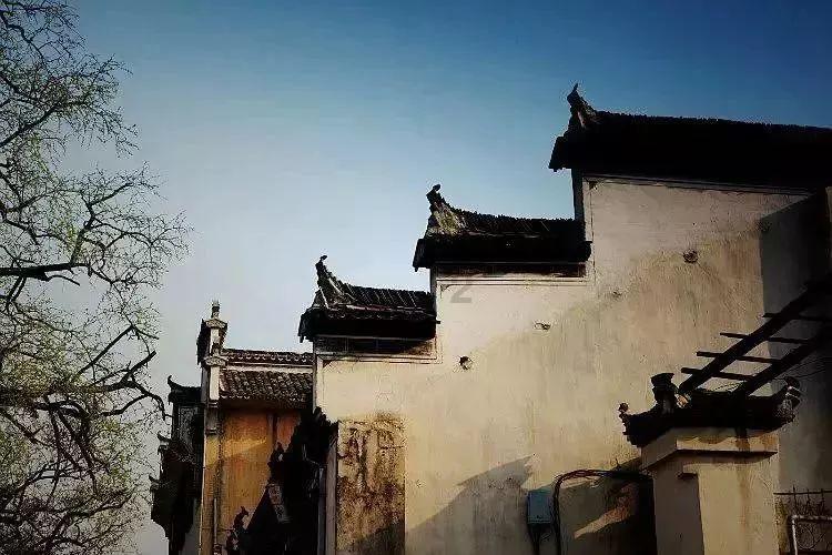视力康复师怎么考?有什么要求?行业前景如何?